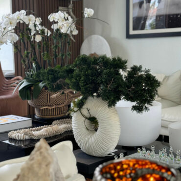 Large Eternity Vase with Trailing Bonsai Tree and Driftwood