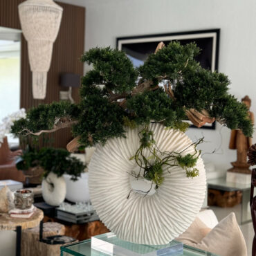 Large Eternity Vase with Trailing Bonsai Tree and Driftwood