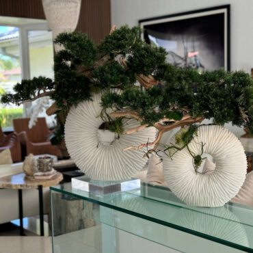 Large Eternity Vase with Trailing Bonsai Tree and Driftwood