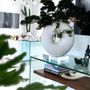 Large Eternity Vase with Trailing Bonsai Tree and Driftwood