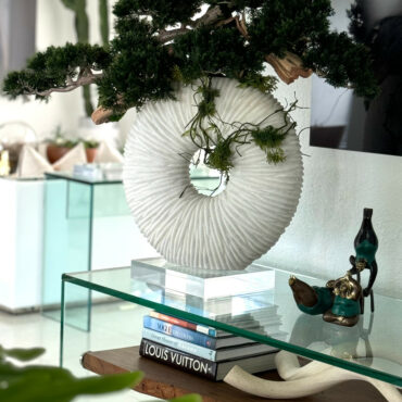 Large Eternity Vase with Trailing Bonsai Tree and Driftwood