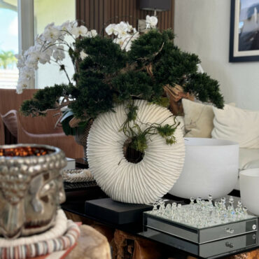 Large Eternity Vase with Trailing Bonsai Tree and Driftwood