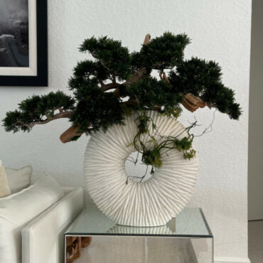 Large Eternity Vase with Trailing Bonsai Tree and Driftwood
