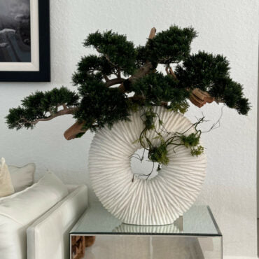 Large Eternity Vase with Trailing Bonsai Tree and Driftwood