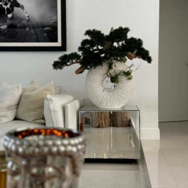 Large Eternity Vase with Trailing Bonsai Tree and Driftwood