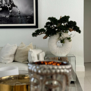 Large Eternity Vase with Trailing Bonsai Tree and Driftwood