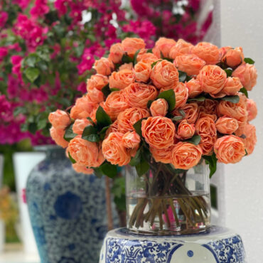 English Roses in Clear Glass Cylinder