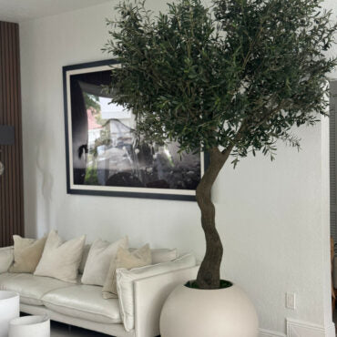 7′ Olive Tree in Matte Beige 30″ Globe Planter