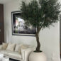 7′ Olive Tree in Matte Beige 30″ Globe Planter