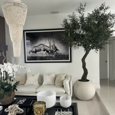 7′ Olive Tree in Matte Beige 30″ Globe Planter