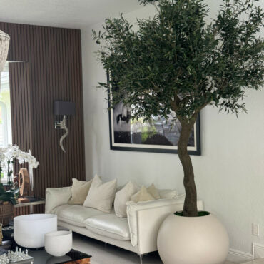 7′ Olive Tree in Matte Beige 30″ Globe Planter