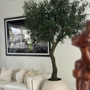 7′ Olive Tree in Matte Beige 30″ Globe Planter