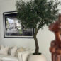 7′ Olive Tree in Matte Beige 30″ Globe Planter