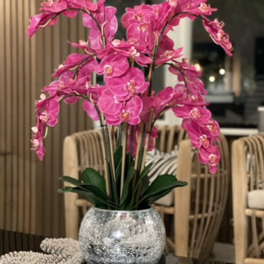 Orchids in Crackled Mirror Vase