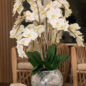 Orchids in Crackled Mirror Vase