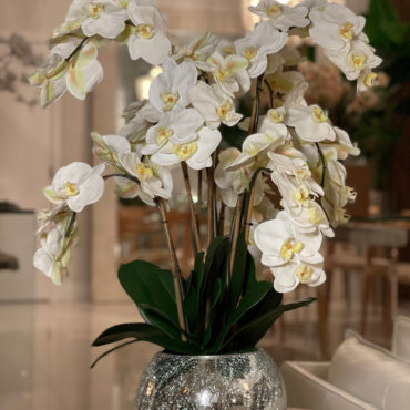 Orchids in Crackled Mirror Vase