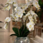 Orchids in Crackled Mirror Vase