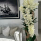 Large Live Edge Teak Vase with White Vanda Orchids
