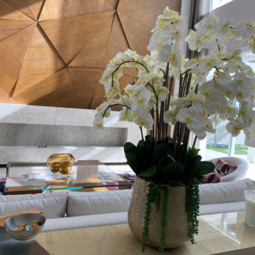Delaney Gold Pot with Multiple Stems of Phalaenopsis Orchids and Succulents