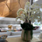 Delaney Gold Pot with Multiple Stems of Phalaenopsis Orchids and Succulents