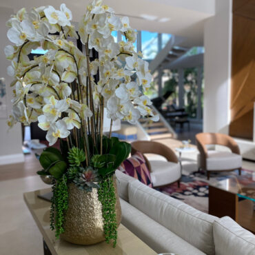 Delaney Gold Pot with Multiple Stems of Phalaenopsis Orchids and Succulents