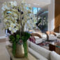 Delaney Gold Pot with Multiple Stems of Phalaenopsis Orchids and Succulents