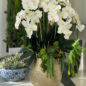 Delaney Gold Pot with Multiple Stems of Phalaenopsis Orchids and Succulents