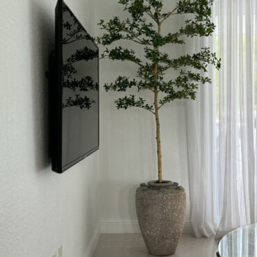 Parthenon Planter with 7′ Shady Lady Tree