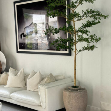 Parthenon Planter with 7′ Shady Lady Tree
