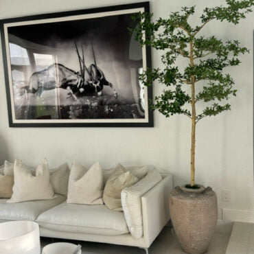 Parthenon Planter with 7′ Shady Lady Tree