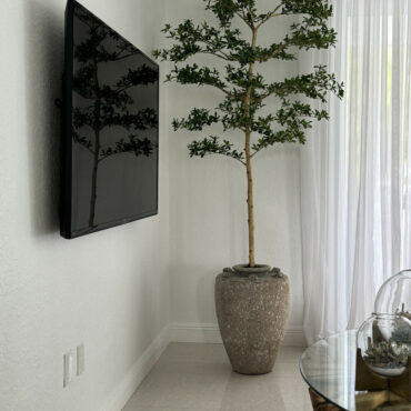 Parthenon Planter with 7′ Shady Lady Tree