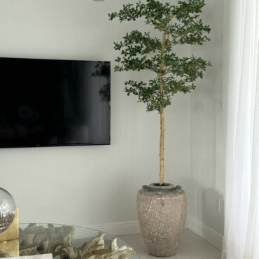 Parthenon Planter with 7′ Shady Lady Tree