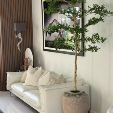 Parthenon Planter with 7′ Shady Lady Tree