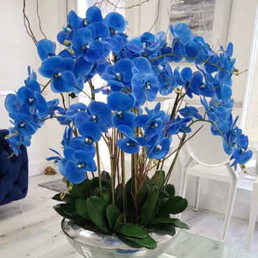 Avenue bowl with blue Phalaenopsis orchids