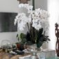 Large Titus Urn with Phalaenopsis Orchids