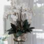 Large Titus Urn with Phalaenopsis Orchids
