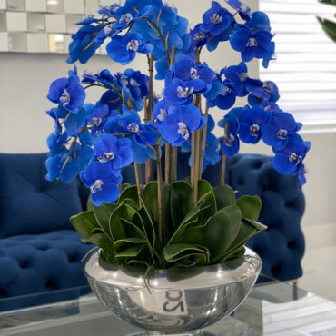 Avenue bowl with blue Phalaenopsis orchids