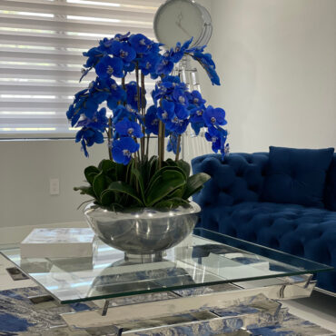 Avenue bowl with blue Phalaenopsis orchids
