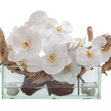 12″ Casa Moderna Glass Plate Planter with white orchids