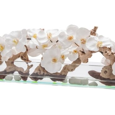 48″ Casa Moderna Glass Plate Planter with white orchids