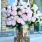 Blush English Roses in 16″ Glass Rota Vase