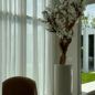 10ft White Magnolia Tree in Glossy Beige St. Tropez Planter