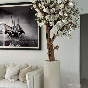 Glossy Beige St. Tropez Planter with Custom Made Magnolia Tree