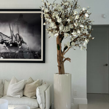 Glossy Beige St. Tropez Planter with Custom Made Magnolia Tree