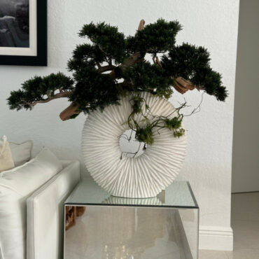 Large Eternity Vase with Trailing Bonsai Tree and Driftwood