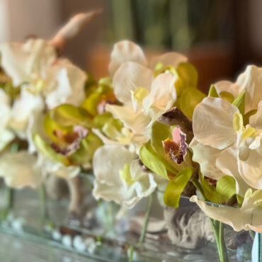 Casa Moderna with White Vandas and Green Cymbidiums