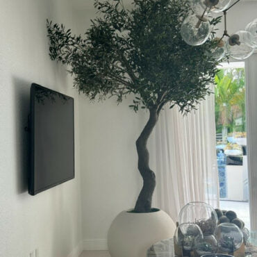 7′ Olive Tree in Matte Beige 30″ Globe Planter
