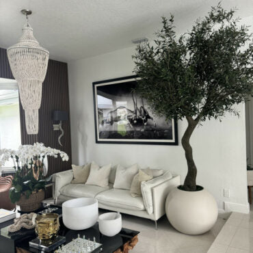 7′ Olive Tree in Matte Beige 30″ Globe Planter