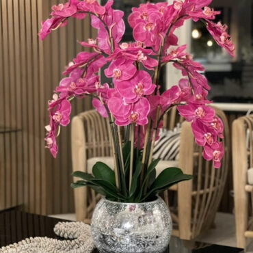 Orchids in Crackled Mirror Vase