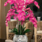 Orchids in Crackled Mirror Vase